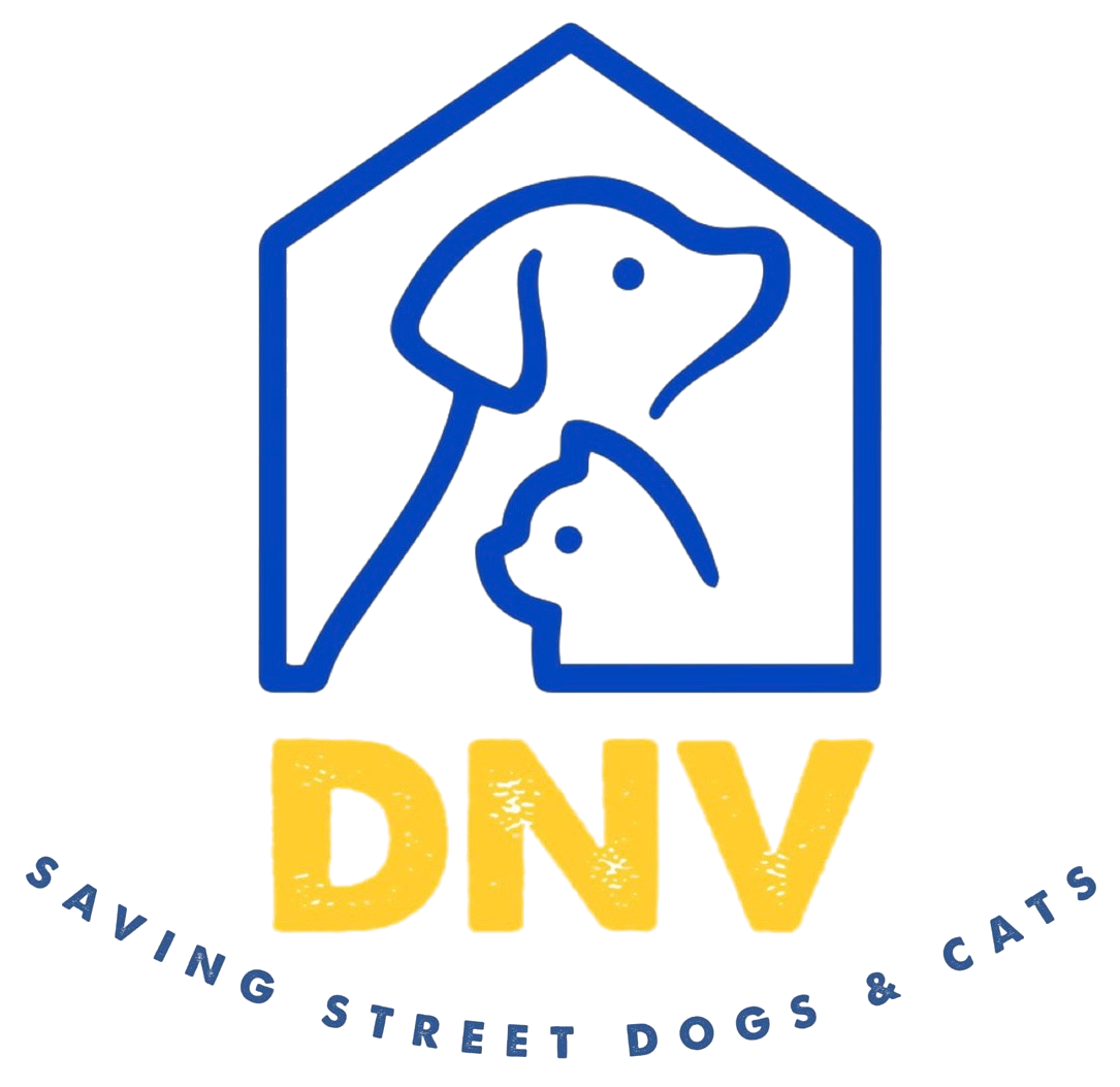 DNV Save Animals | Saving Street Dogs and Cats in Bosnia – Saving ...