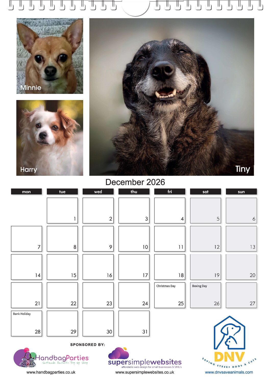 The NEW DNV 2026 Calendar ! - Image 13