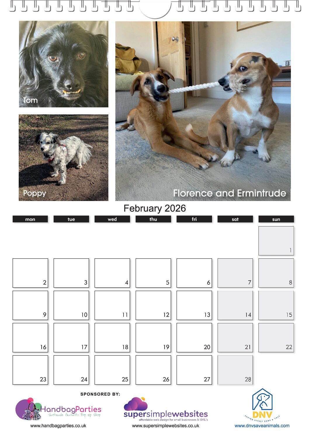 The NEW DNV 2026 Calendar ! - Image 3