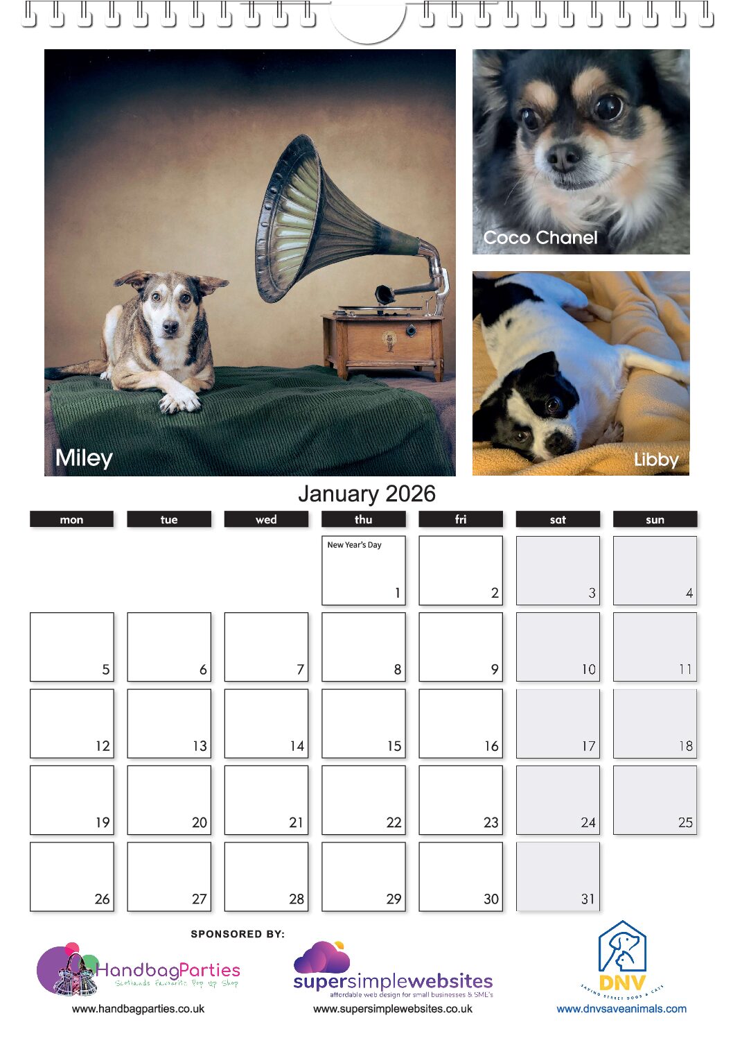 The NEW DNV 2026 Calendar ! - Image 2