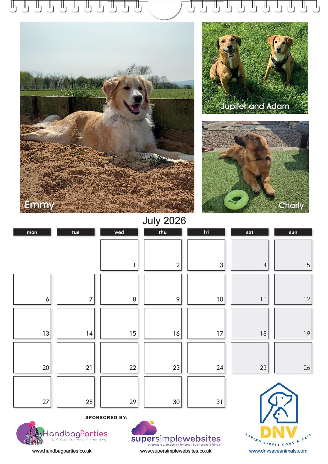 The NEW DNV 2026 Calendar ! - Image 8