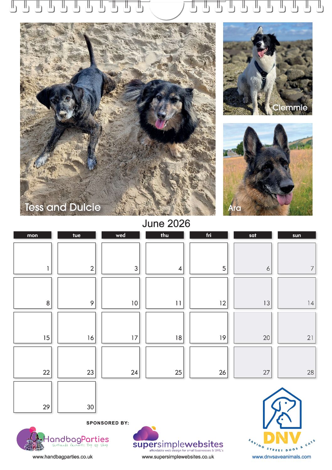 The NEW DNV 2026 Calendar ! - Image 7