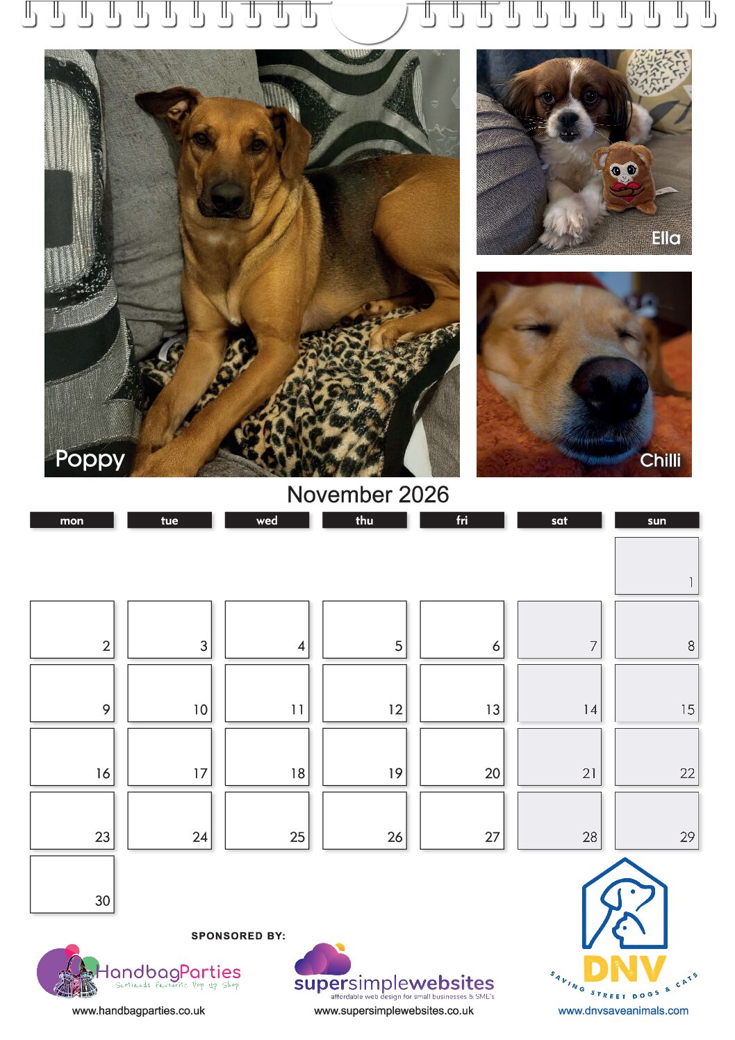The NEW DNV 2026 Calendar ! - Image 12