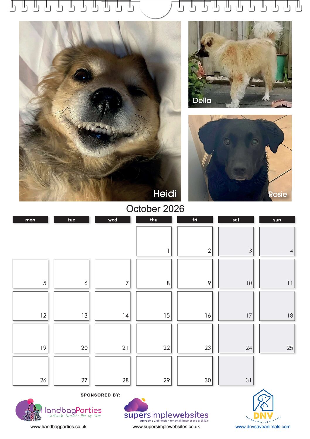 The NEW DNV 2026 Calendar ! - Image 11