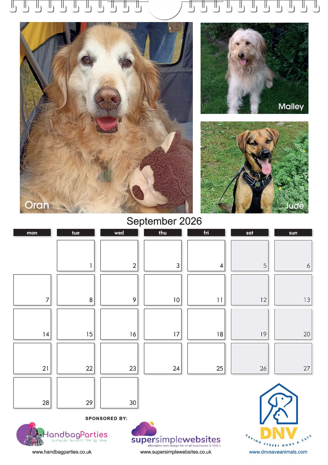 The NEW DNV 2026 Calendar ! - Image 10
