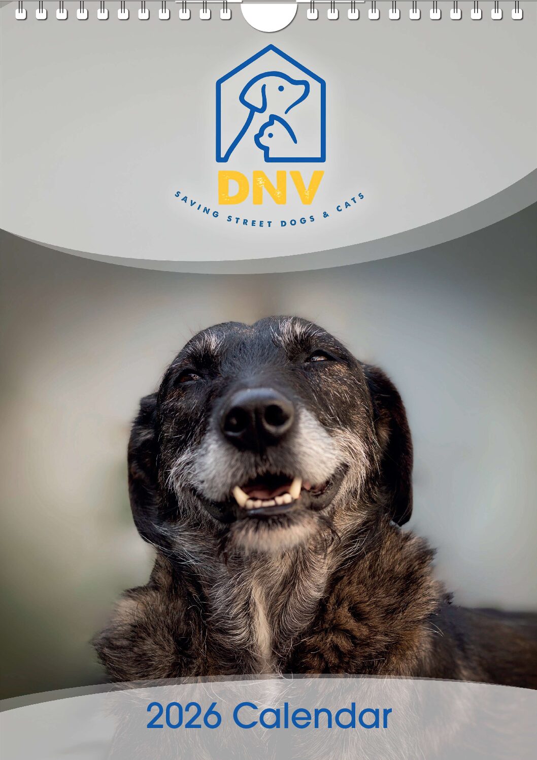 The NEW DNV 2026 Calendar !