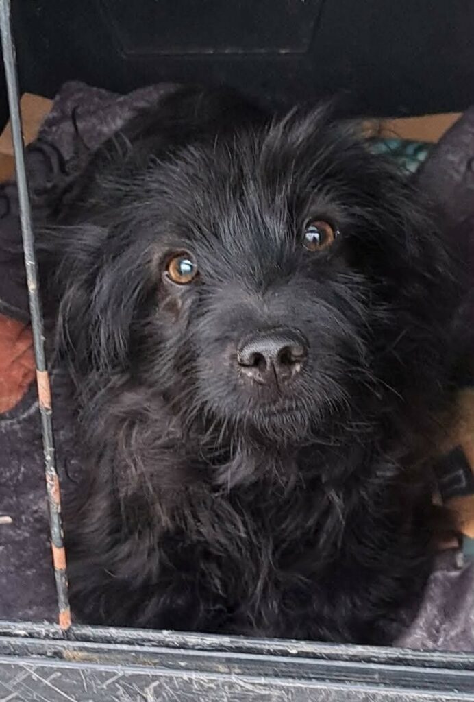 f8f78dff-d9d5-4891-b993-7d50084f0659