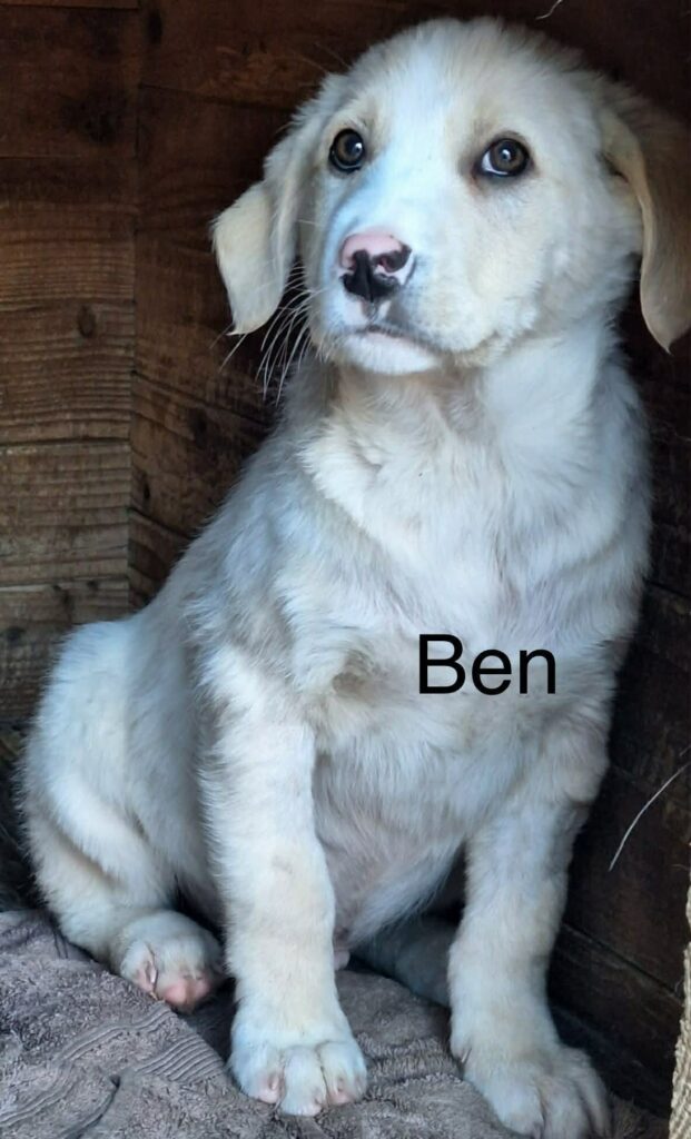 9a7ea054-7820-4c2d-80b6-8344d4853562