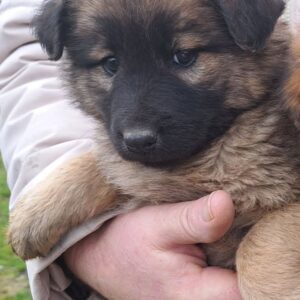 2293e913-43c0-4c16-9da0-b89a7d159c55