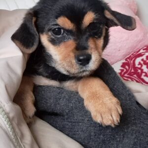 637591423_4761066827453669_8677477683582097154_n