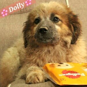 6da7ca14-20b6-462a-9b93-6feabe6a6ca5