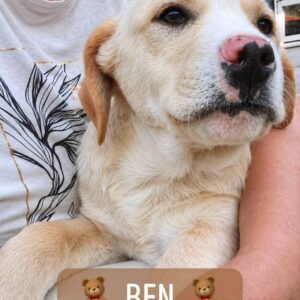 Ben new