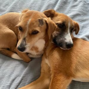 Ermi and Flo