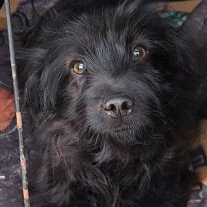 f8f78dff-d9d5-4891-b993-7d50084f0659